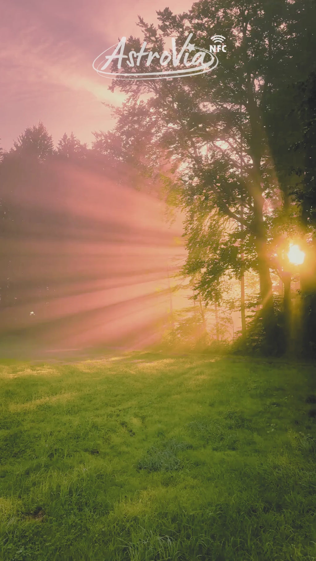 ♈ Mug AstroVia BÉLIER